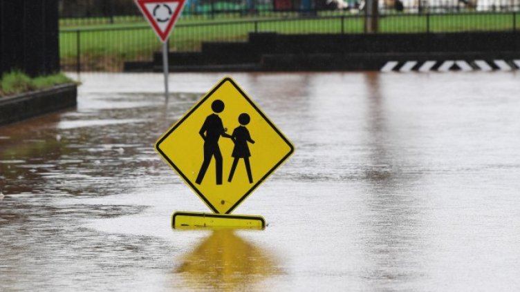 Снимка: архив, БГНЕС