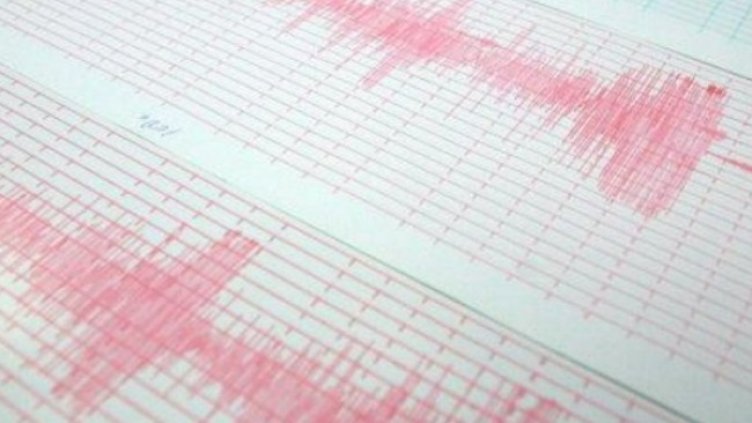 Снимка: архив, БГНЕС