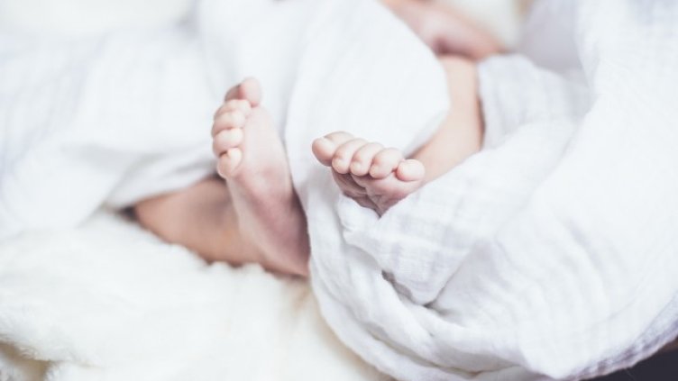 Снимка: Pixabay