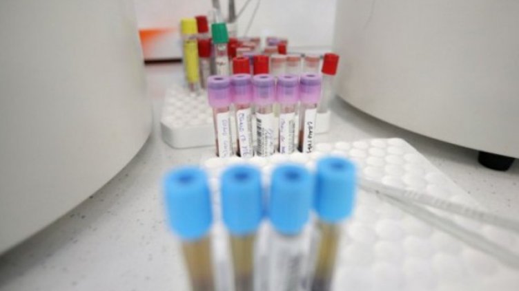 Снимка: Димитър Кьосемарлиев