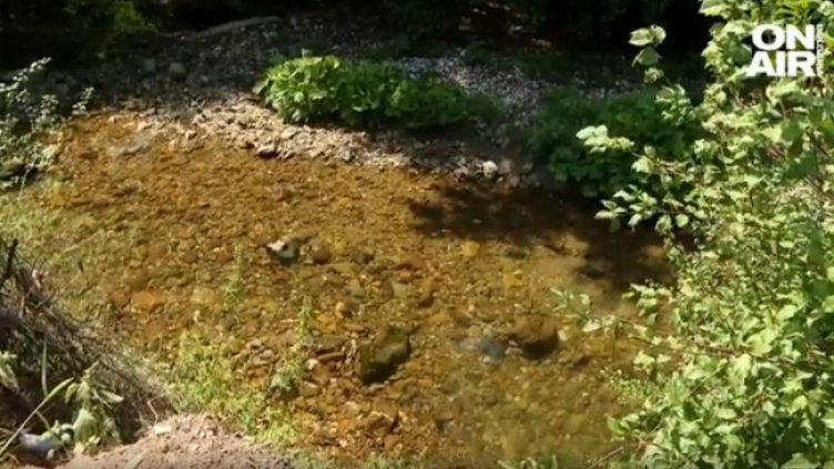 Снимка: Bulgaria ON AIR