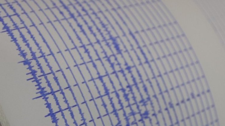 Снимка: архив, БГНЕС