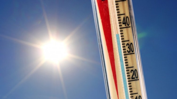 Снимка: архив, БГНЕС