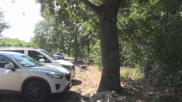 Снимка: кадър, БНТ