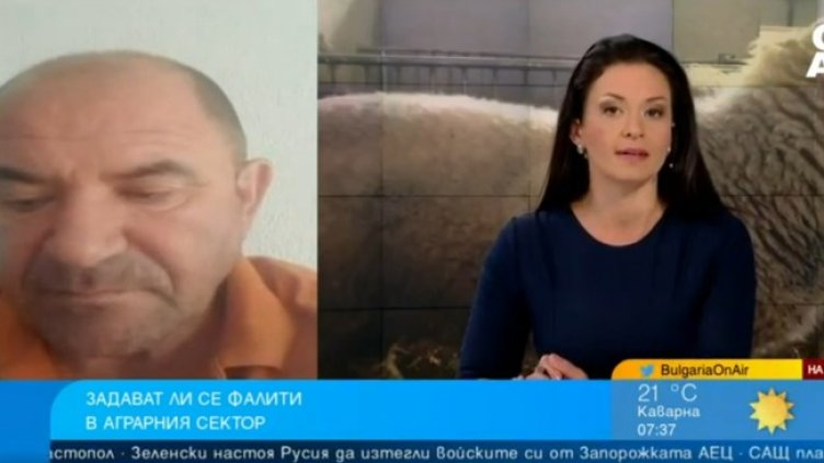 Снимка: Bulgaria ON AIR