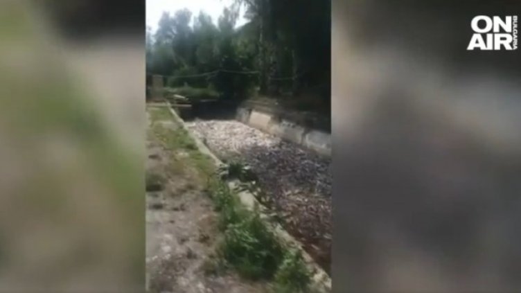 Снимка: Bulgaria ON AIR