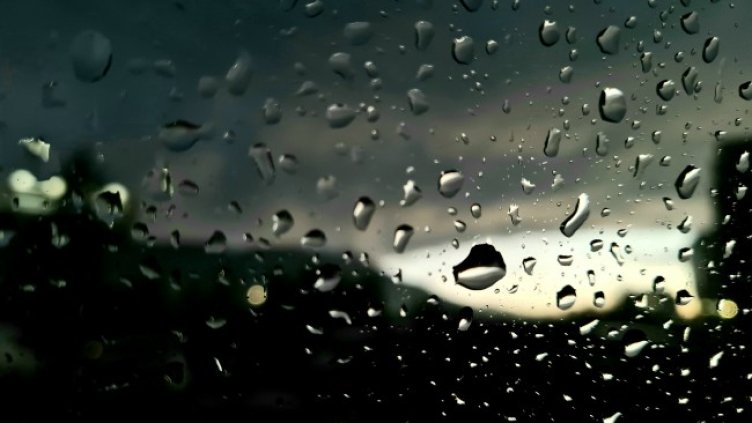 Снимка: Pixabay