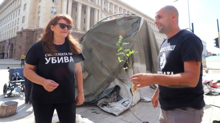 Снимка: БГНЕС