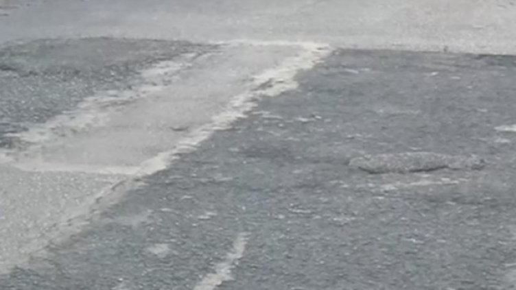 Снимка: Кадър, Нова тв