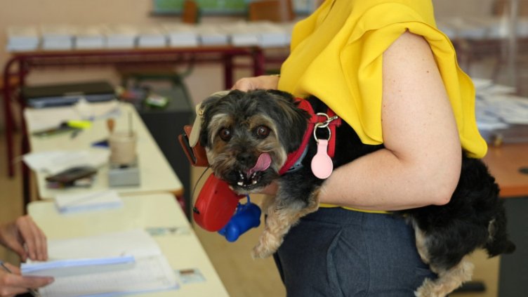 Снимка: архив, БГНЕС