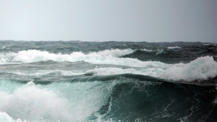 Снимка: Pixabay