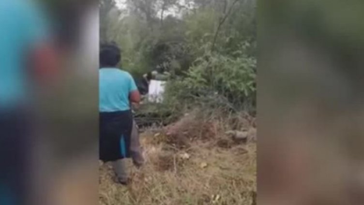 Снимка: Bulgaria ON AIR