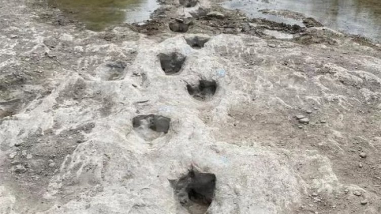 Снимка: Dinosaur Valley