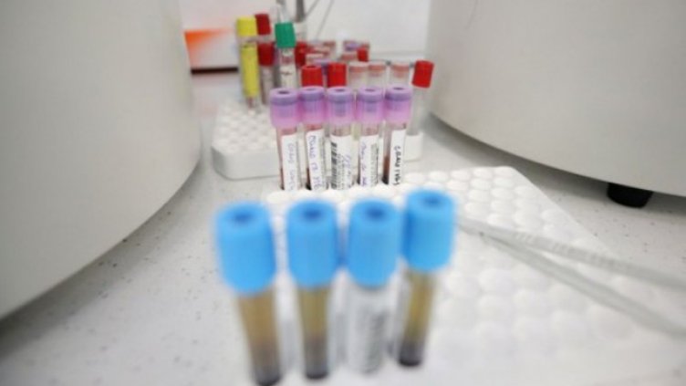 Снимка: Димитър Кьосемарлиев