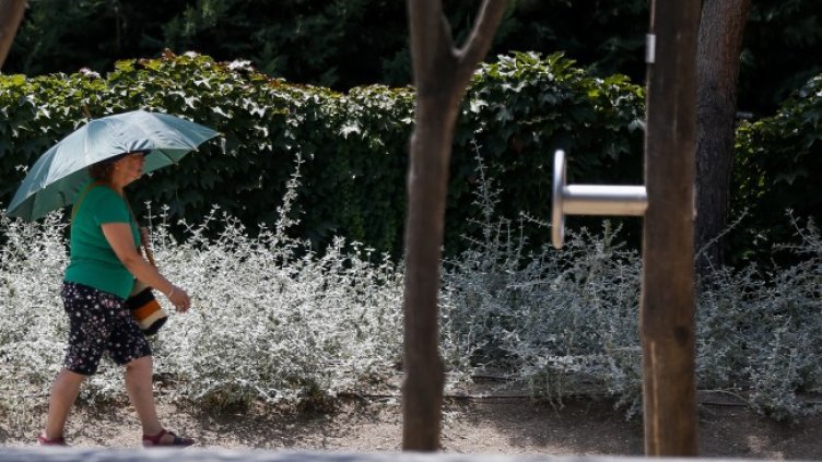 Снимка: БГНЕС