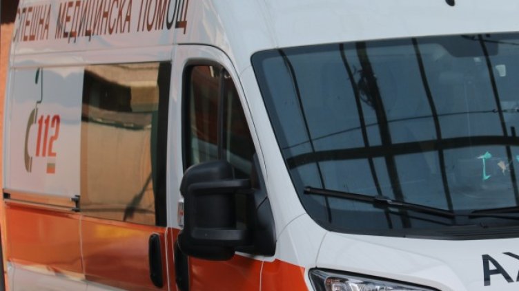 Снимка: архив, БГНЕС