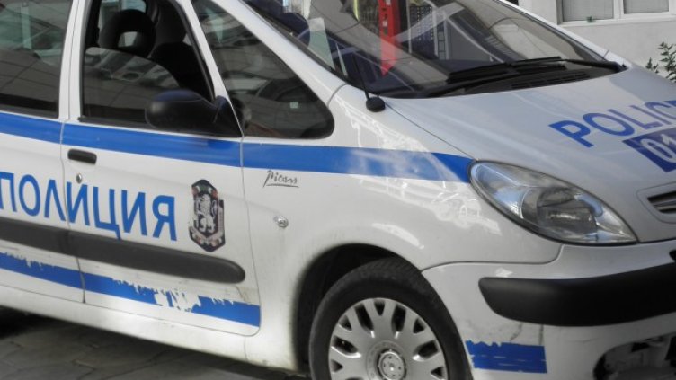 Снимка: архив, БГНЕС