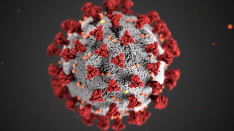 Снимка: архив, БГНЕС