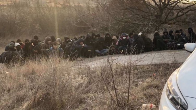 Снимка: архив, БГНЕС