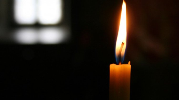 Снимка: архив, БГНЕС