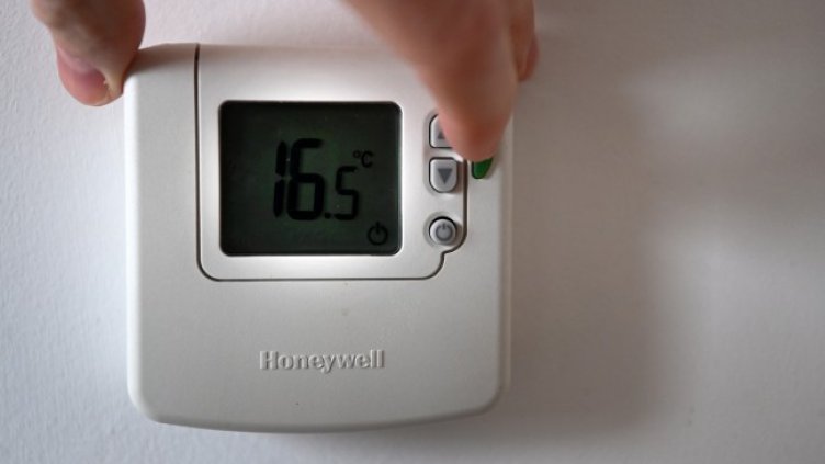 Снимка: архив, БГНЕС