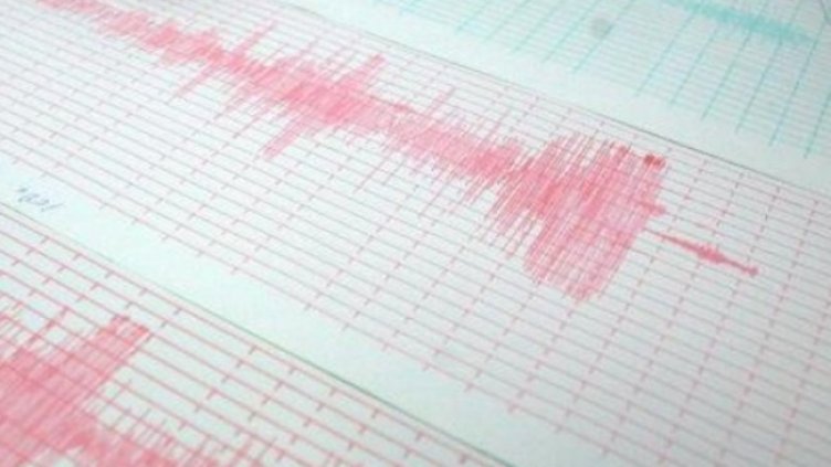 Снимка: архив, БГНЕС