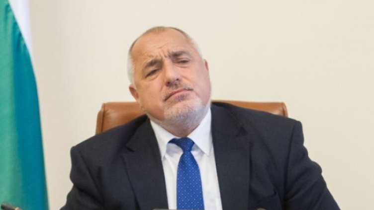 Снимка: Димитър Кьосемарлиев, Dnes.bg