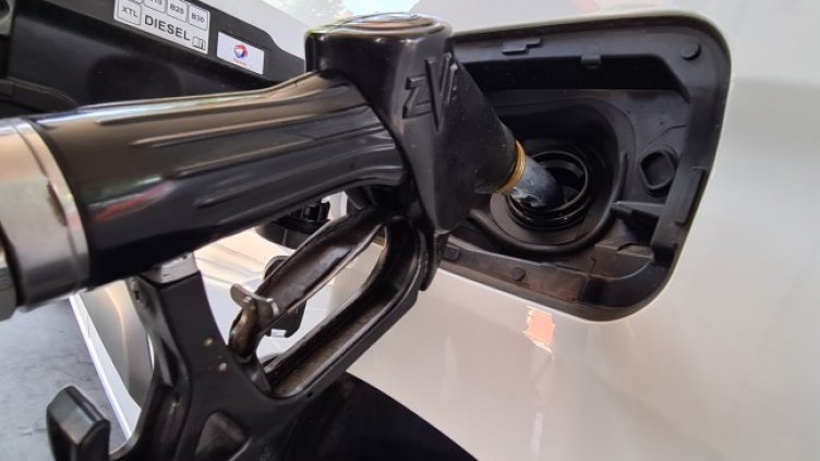 Снимка: архив, БГНЕС