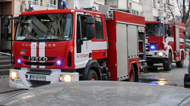 Снимка: БГНЕС, архив