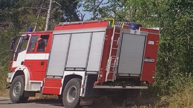 Снимка: БГНЕС