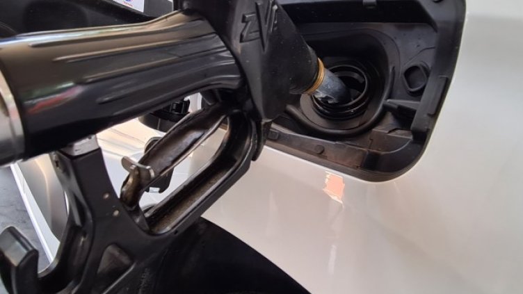 Снимка: архив, БГНЕС