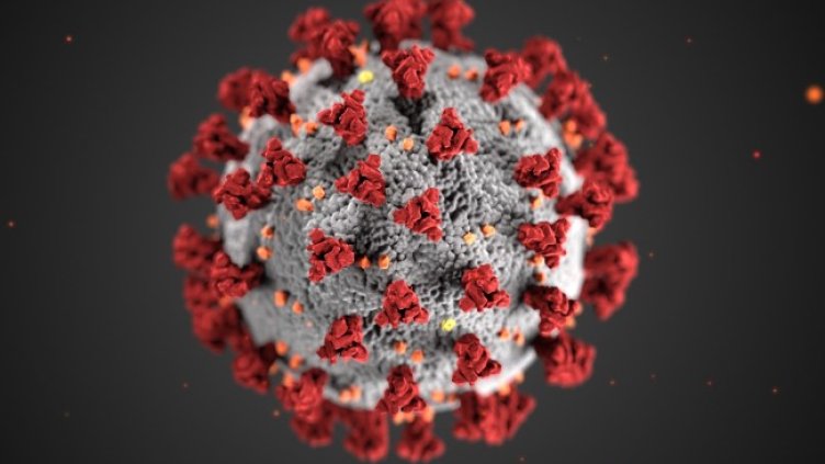 Снимка: архив, БГНЕС