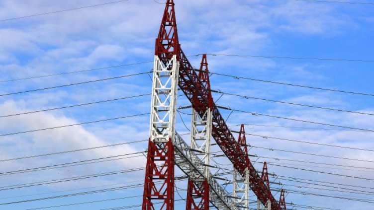 Снимка: архив, БГНЕС