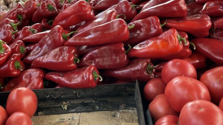 Снимка: архив, БГНЕС