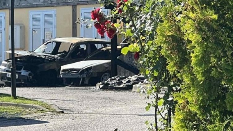 Снимка: БНТ