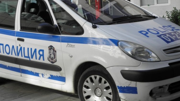 Снимка: архив, БГНЕС