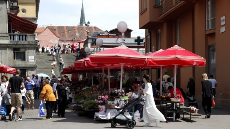 Снимка: архив, БГНЕС