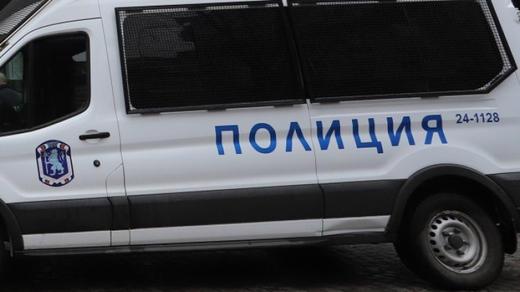 Снимка: архив, БГНЕС