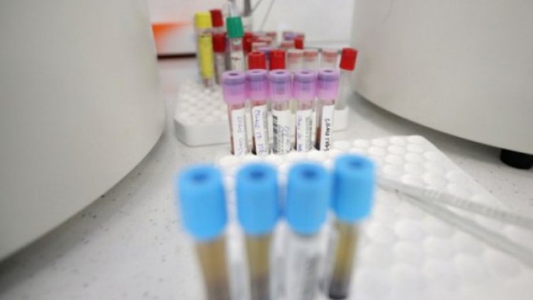 Снимка: Димитър Кьосемарлиев