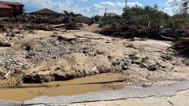 Снимка: БГНЕС