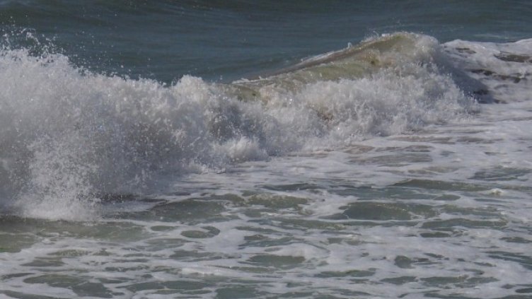 Снимка: архив, БГНЕС