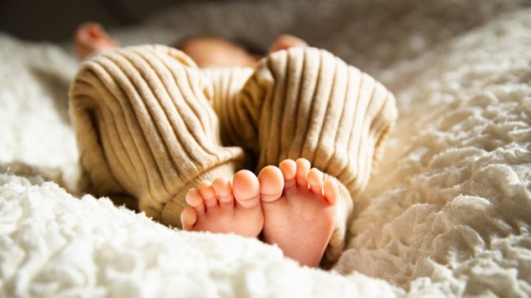 Снимка: Pexels