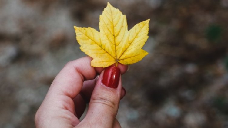 Снимка: Pexels/Ana M.