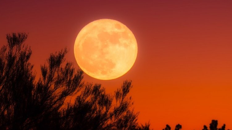 Снимка: Pixabay/12019