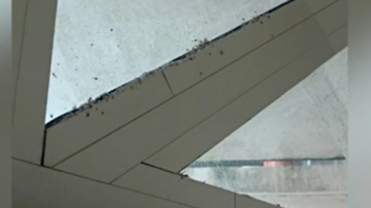 Снимка: Кадър, Нова тв