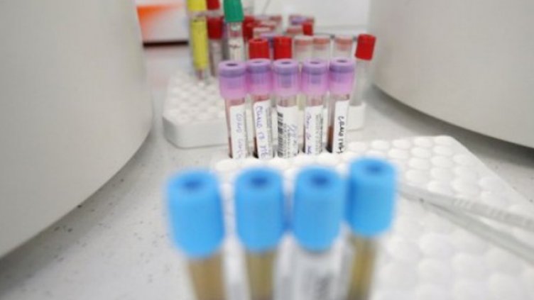 Снимка: Димитър Кьосемарлиев