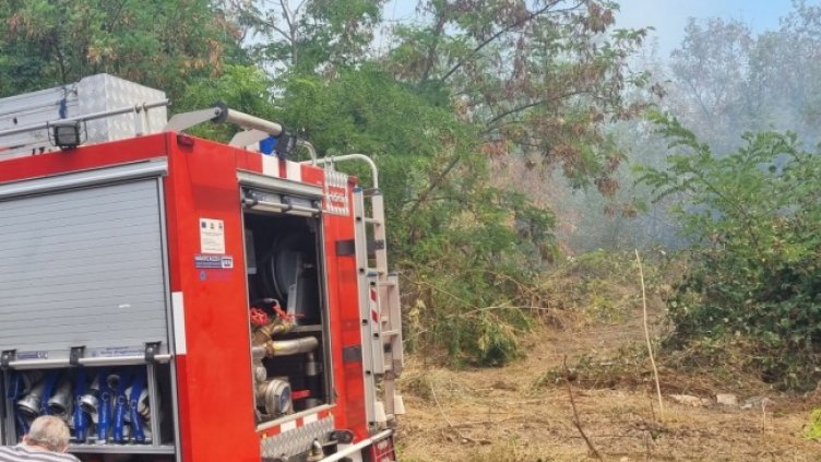 Снимка: БГНЕС