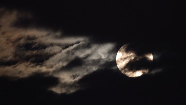 Снимка: Bloomberg TV Bulgaria