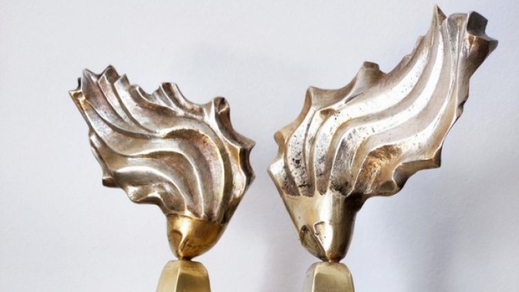 Снимка: НФЦ