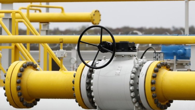 Снимка: архив, БГНЕС